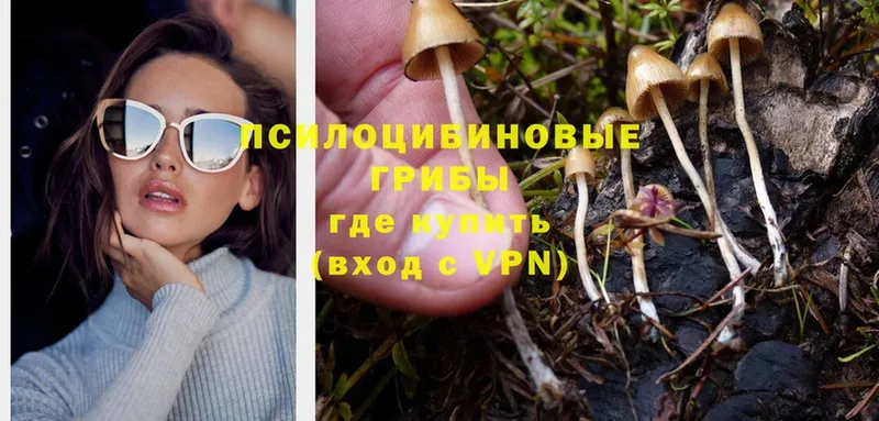 Псилоцибиновые грибы MAGIC MUSHROOMS  Вихоревка 